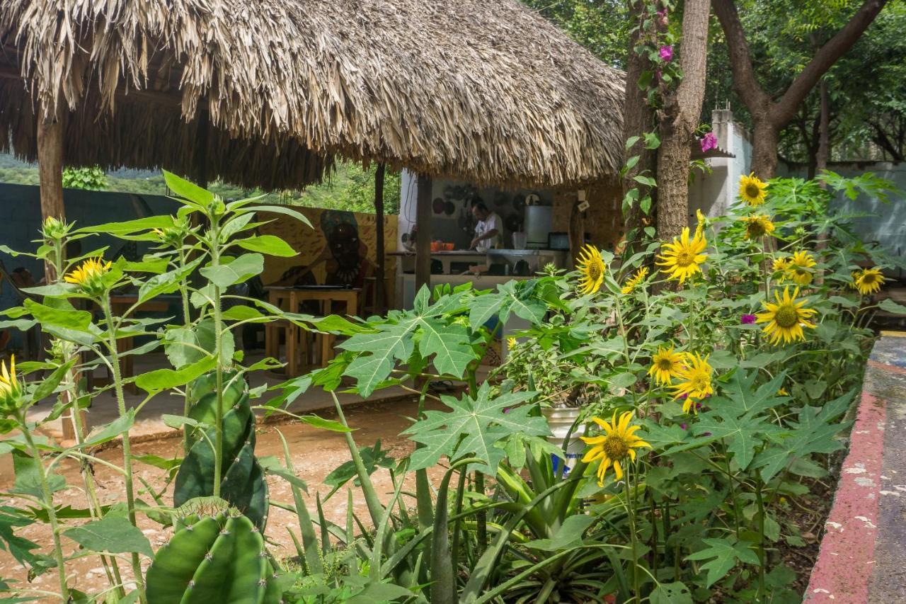 Hostel Hipilandia Taganga Buitenkant foto
